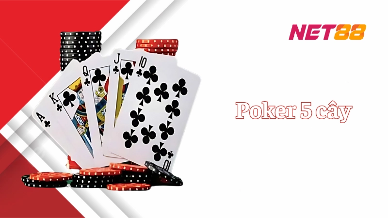 Thế nào là Poker 5 cây?