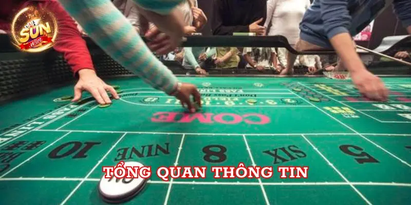 Tổng quan thông tin