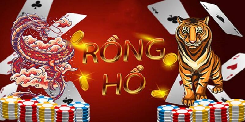 rồng hổ kubet